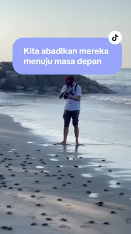 Kita abadikan mereka menuju masa depannya.  #humas #video #videography #tukik #penyu #kurmaasihseaturtle #perancak #jembrana #sea #cinematic 