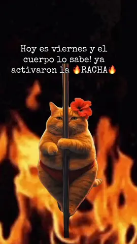 La racha #streak #reminder #streakreminder #fyp #fypシ #viral #parati #laracha #CapCut 