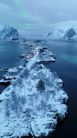A Peaceful Night in a Greenlandic Winter Village #GreenlandWinter #FrozenVillage #SnowyNights #ArcticCharm #WinterWonderland #MagicalGreenland #SnowCovered #FrozenParadise #GreenlandTravel #ArcticMagic #WinterVibes #DreamyVillage #SnowScenes #VisitGreenland #winterescape #imaginedbyai 