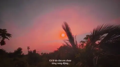 Có lẽ do tim em chưa hề rung động#tamtrang #💔 #nhachaymoingay #nhacbuontamtrang #nhactamtrang #viralvideo #xuhuongtiktok #fypage 
