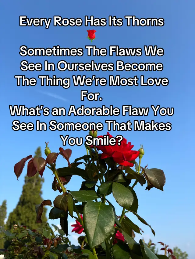We all have someone we find adorable because of their flaws, just like every rose has its thorn, every person has his/her flaws. Sometimes the flaws we see in ourselves are the things someone else finds irresistible.  #poison #rose #flaws #thorn #thorns 