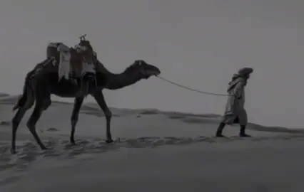 ليت الفكر عن طاري الوجد يرتاح☑️#قصايد_شعر_خواطر #اكسبلور 