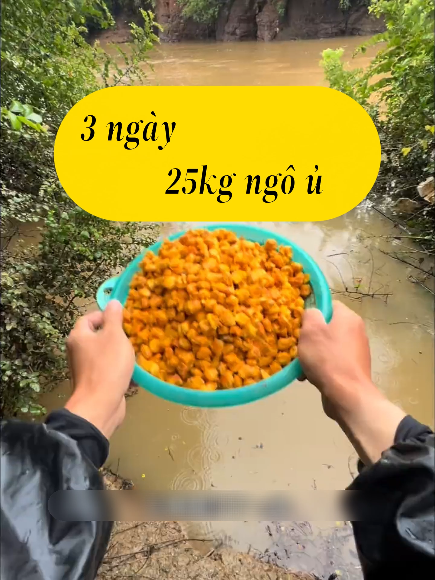 #cauca #caucatunhien #moicau #sanhangtunhien #moicauchep #sanhang