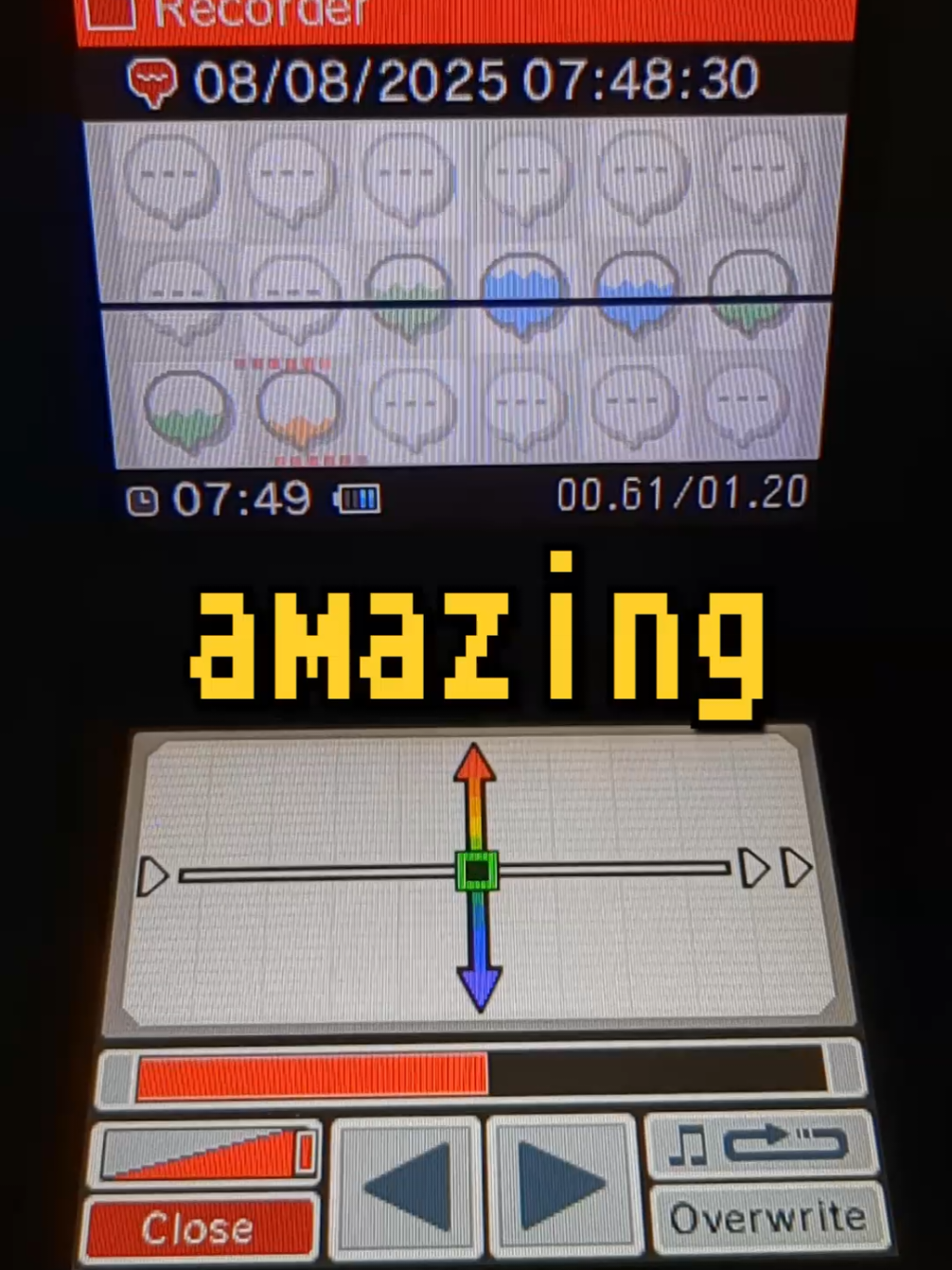 insane Nintendo DSi feature