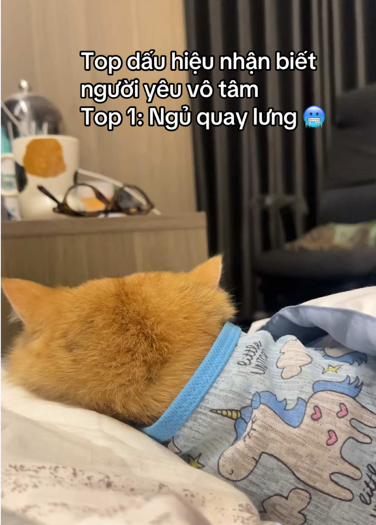 Ảnh chỉ chịu chung chăn gối với tôi vì miếng pate manh cá 🫠 #catoftiktok #fypage #catlovers #anhbap 