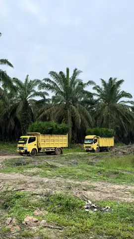 #sawitsumatraindonesia🌴🌴🌴 #hitachiexcavator #perkebunan #perkebunankelapasawit 