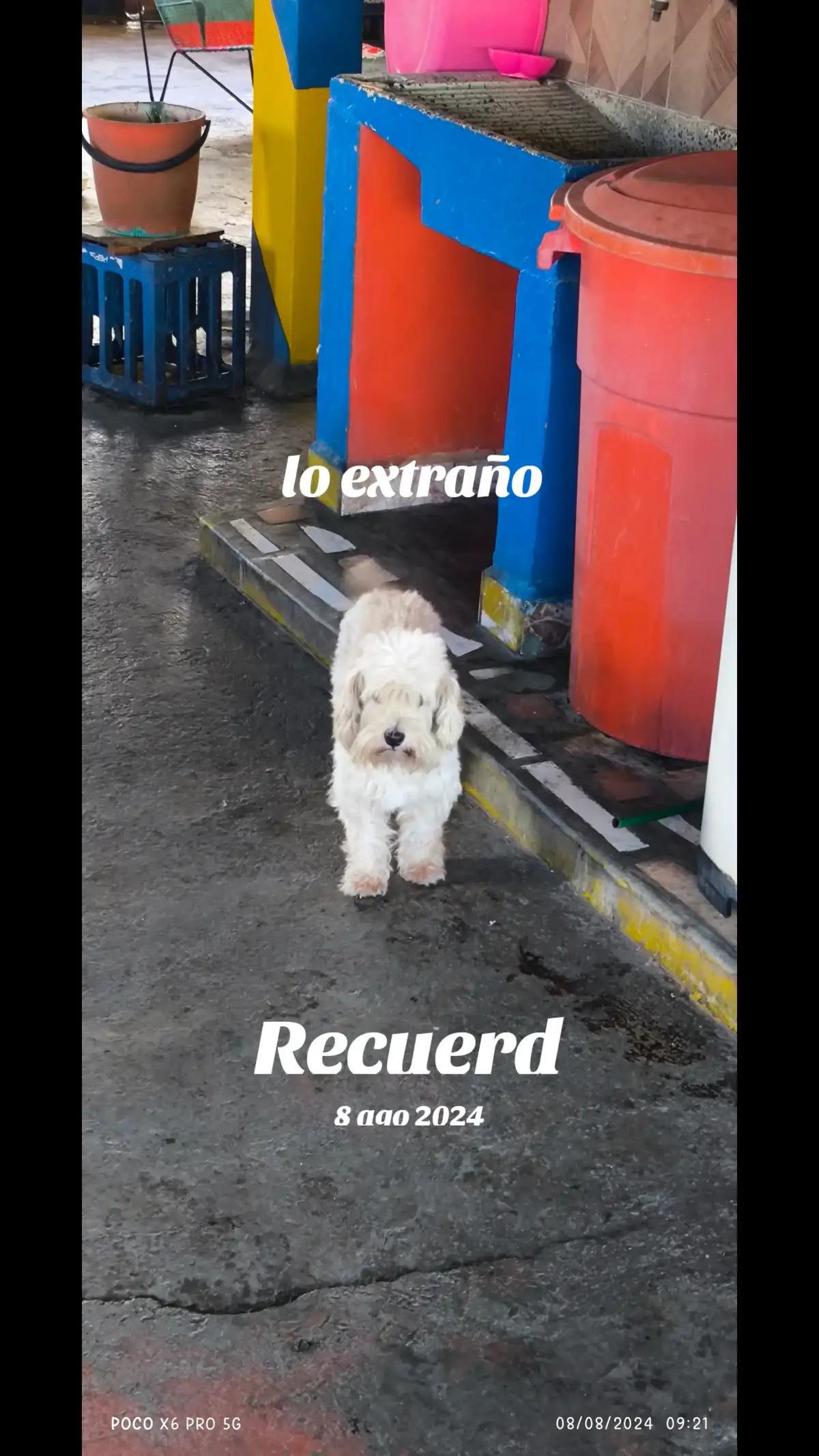 #Recuerdos 