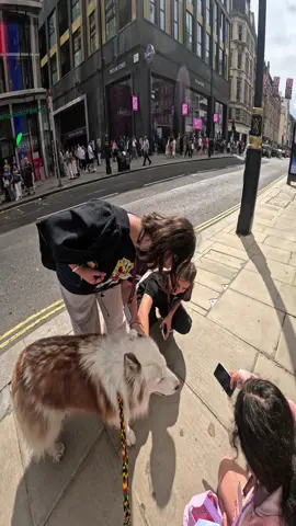Interactions with my dog!!  #husky #pets #fyp #viola #violasnow #london #famous 