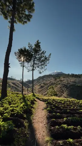 sabana merbabu no sabana slamett yes #mountenesia 