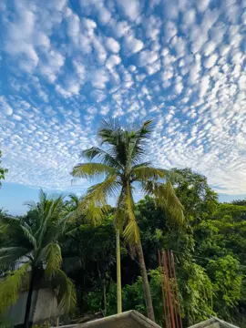 আকাশের ওই নিল ঠিকানা  #foryou #foryoupage #fpy #anfeezemyaccont #edit #viral @TikTok Bangladesh @TikTok 