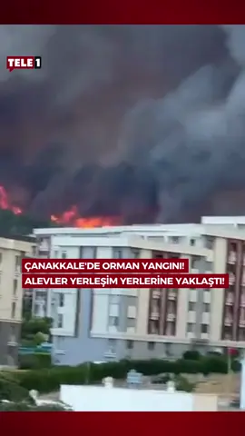 Çanakkale'de orman yangını! Alevler yerleşim yerlerine yaklaştı!