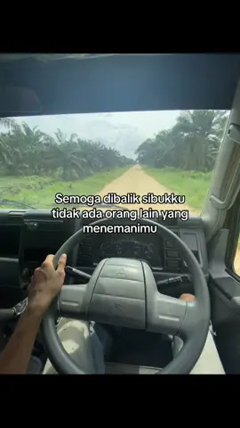 🫠#truksawit#truksawitjambi #sawitontiktok #drivermuda #canterhdx