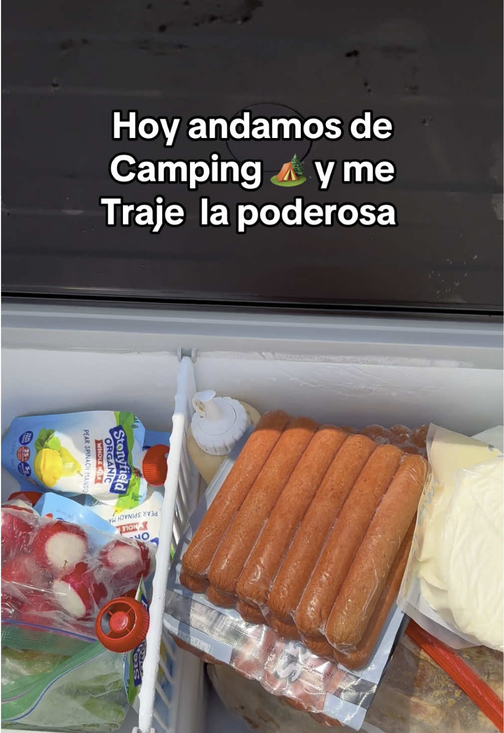 La mejor refrigeradora portable #camping #naturaleza #refrigerator #viral #tiktokshop 