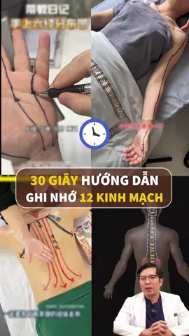 30s hướng dẫn bạn ghi nhớ 12 kinh lạc #vinmecsaophuongdong #bsthaibaoychan #suckhoe 