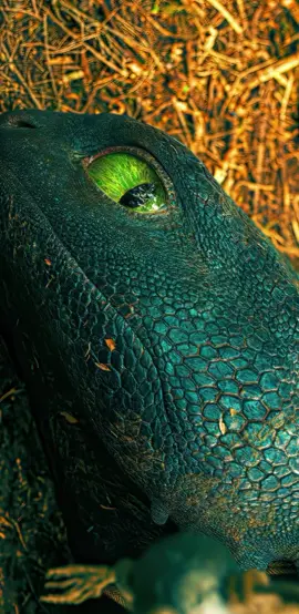 #howtotrainyourdragon #aesthetic #detailing #edits #imax #4k 