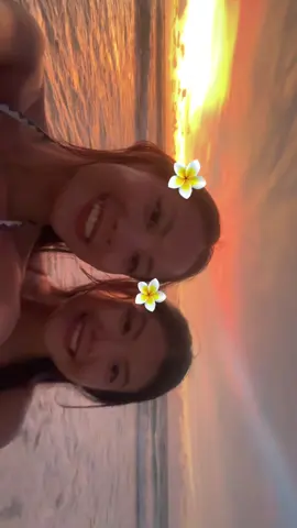 🌺🌅