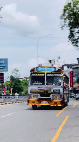 කහ කුරුල්ල  🥹🧡#srm_city_express 