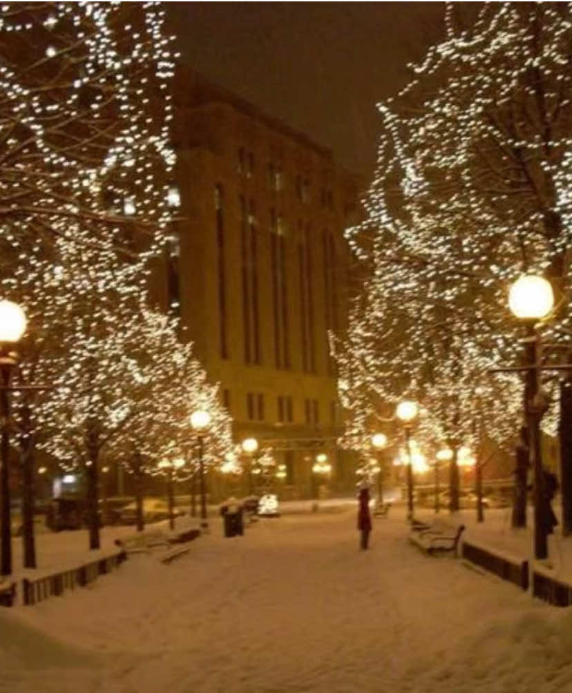 Who doesn’t love Christmas? 🎄 #christmas #wintervibes #fyp #core #corecore #christmascore #real 