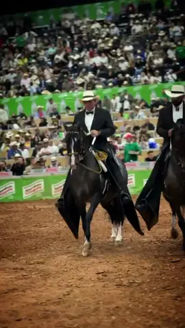 #caballoscolombia #colombia #caballoscolombianos #viral #tictok somos amantes del caballo criollo colombiano ….🐴🐴🐴