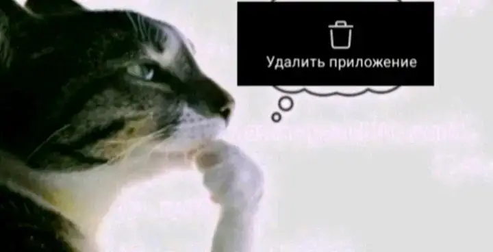 вообще-то 4🤓 #meme #cat  Токийский гуль» (Tokyo Ghoul) — японский сериал в жанрах ужасы, фэнтези, боевик, триллер и драма, выпущенный в 2014–2018 годах.  kinopoisk.ru Сюжет: студент Кэн Канэки из-за несчастного случая попадает в больницу, где врачи по ошибке пересаживают ему органы гуля — существа, питающегося человеческой плотью.
