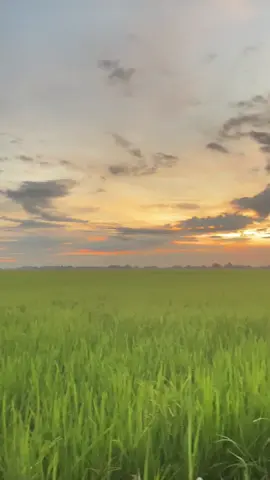 #vibes #sunset #trending 