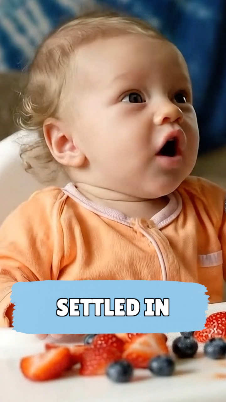One week home and the babies have a lot to say. 🎤 #babytalk #wehadtoask #funnybabies #babiesoftiktok #babyinterview