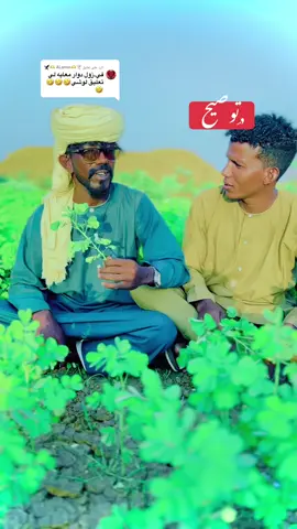 الرد على @🕊🫶ALamin 🫶🦅 ##سودانيز_تيك_توك_مشاهير_السودان💜🇸🇩💜 #الانتشار_السريع #الانتشار_السريع #فرنسا🇨🇵_بلجيكا🇧🇪_المانيا🇩🇪_اسبانيا🇪🇸 #مشاهير_تيك_توك_مشاهير_العرب #السعودية #الانتشار_السريع 