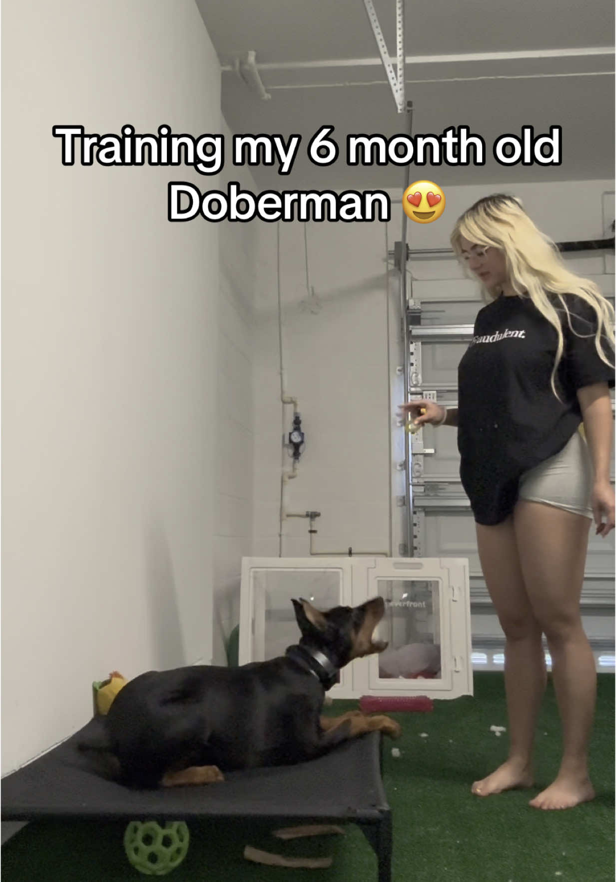 She was such a baby! This video’s old I found it in the archives but I realized how much work I put into her! #DogTraining #doberman #doglife #dog #training #puppytiktok #fypage #explore 