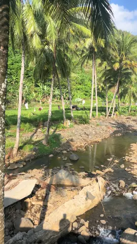 Tah tempat kieu anu matak ngeunah tuang jeung asin teh