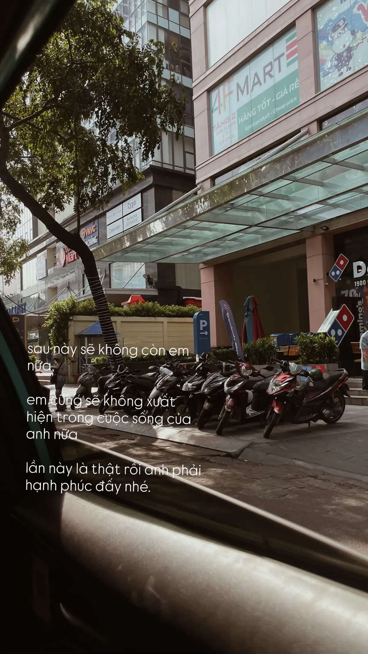 cảm ơn và xin lỗi.