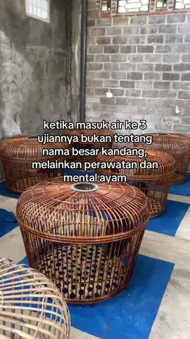 jos jis#agpframblitar #ayampakhoy #AGPFRAMBLITAR 