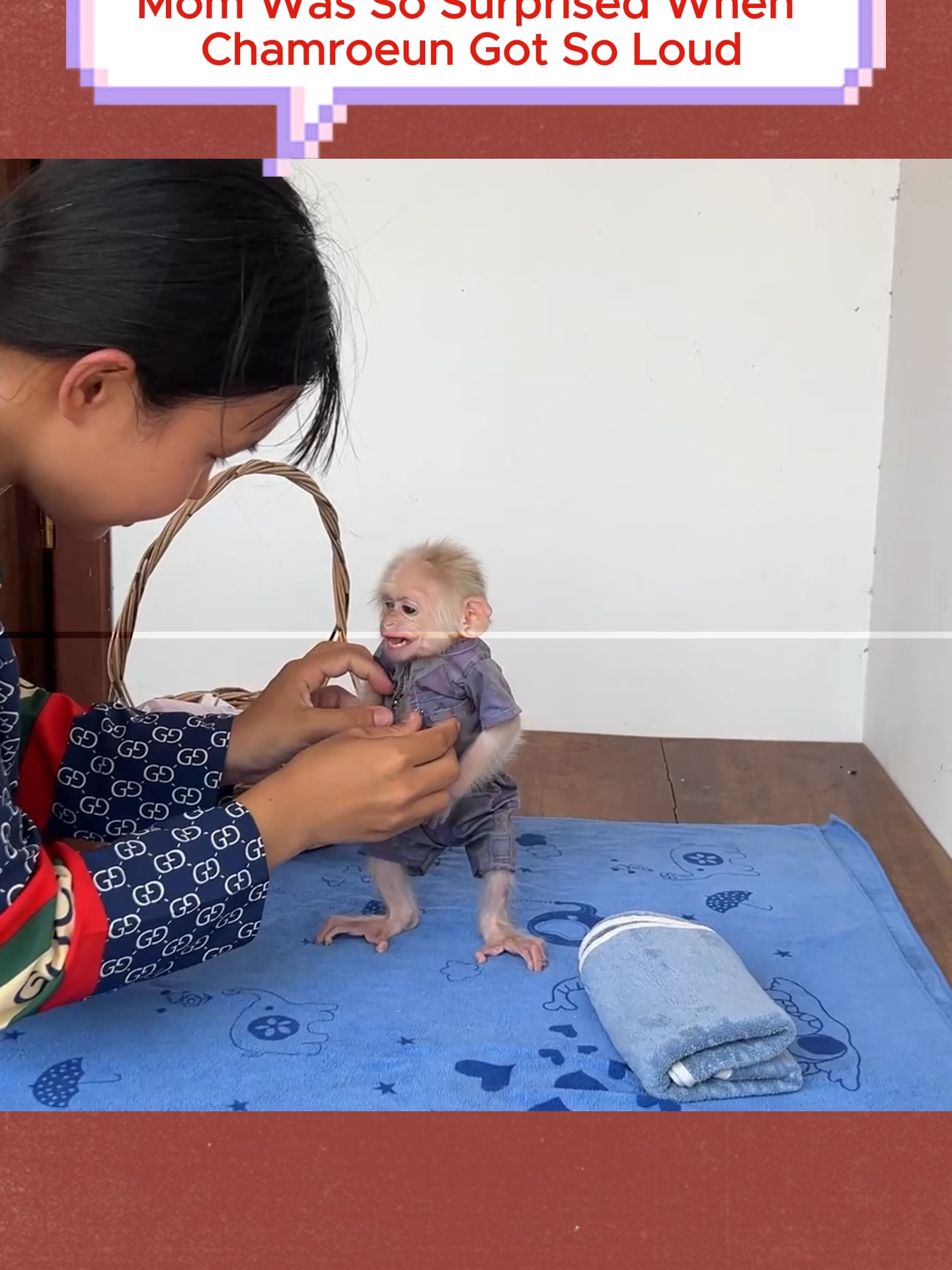 Mom Was So Surprised When Chamroeun Got So Loud #Monkey #CuteMonkeys #MonkeyLife #WildlifeWednesday #AnimalLovers #PrimatesOfTikTok #FunnyMonkeys #NatureLovers #ZooAdventures #MonkeyMagic