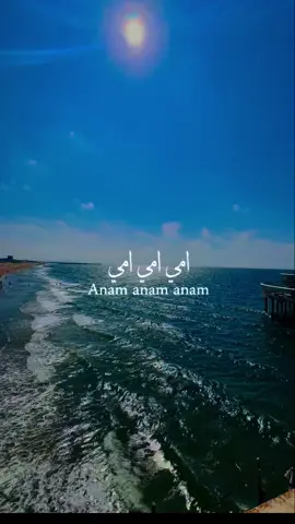 يا وجع قلب أمي 