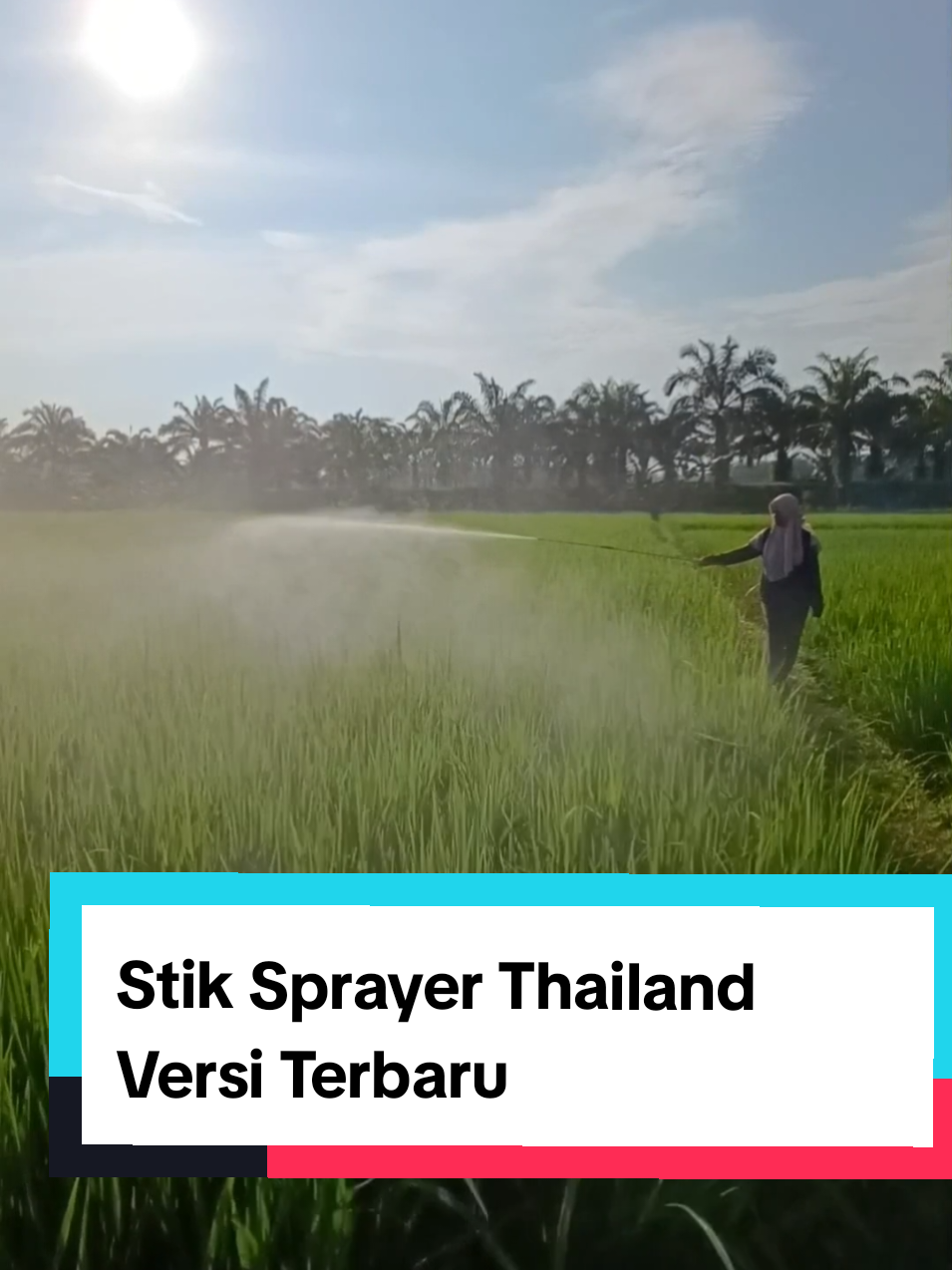 Membalas @bocahnamja85  Stik Rakitan Panjang 150 CM Versi Terbaru Shopee tia_mentari Tiktokshop Tiaa Mentari #stiksprayerthailand #stiknozelkabut 