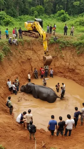 YOU WON’T BELIEVE THIS INCREDIBLE ELEPHANT AIRLIFT!  #animals #viral #elephant​ #pets #shorts