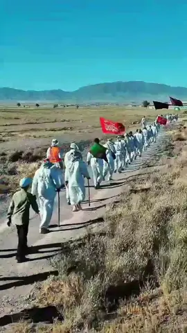 chalo chalo🥺 #karbala #arbaeen #arbaeenwalk #shiastatus #goviral #nohastatus #fyp 