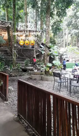 #CapCut 