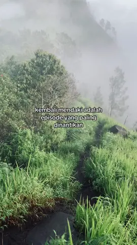 #mendakigunung #gunungindonesia #pendaki 