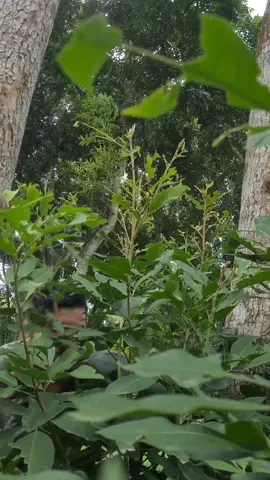 জানু রাগ করছে #😂 #foryou #foryoupage #trending #ti̇ktok #bdtiktokofficial🇧🇩tiktokboangladesh😍😍😍🇧🇩 #fypシ゚ @For You @For You House ⍟ 