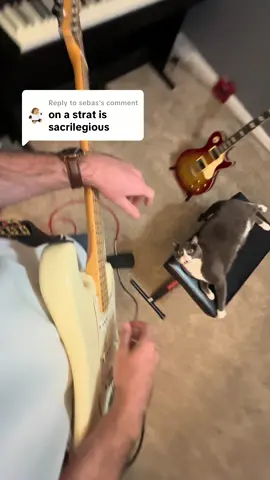 Replying to @sebas ain’t no Gibson but I can rely on the good ol Samick #guitartok #guitarsolo #electricguitar #sweetchildomine #samickguitars 