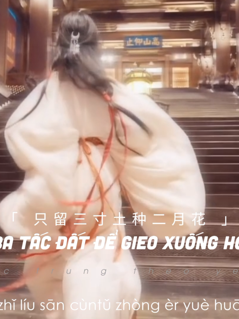 || Cố nhân quay bước không níu lấy,  Thiên sơn vạn thủy chẳng tương phùng....|| #tucuumonhoiuc #macvanquyky #nhactrungtheoyeucau #nhactrungquoc #fyp 