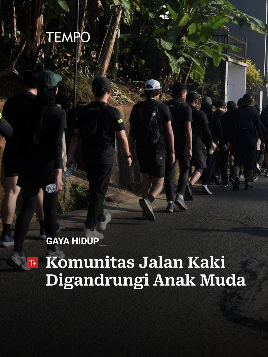 Berjalan kaki sebelumnya kerap dianggap sepele dibanding berlari dan bersepeda karena termasuk olahraga ringan. Padahal, berjalan kaki memiliki manfaat kesehatan yang sama bila rutin dilakukan minimal 30 menit per hari. Kini, jalan kaki beramai-ramai menjadi tren selepas masa pandemi Covid-19. Apa yang dicari saat seseorang memutuskan ikut komunitas jalan kaki? Simak berita selengkapnya di tempo.co #Tempo #Komunitas #JalanKaki #Olahraga
