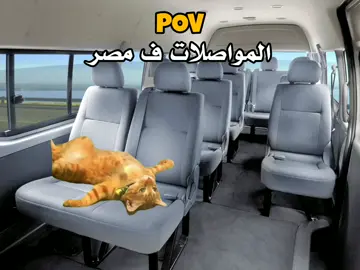 المواصلات في مصر! #cat #egypt #مصر #قطط #ميمز #ضحك #pov 