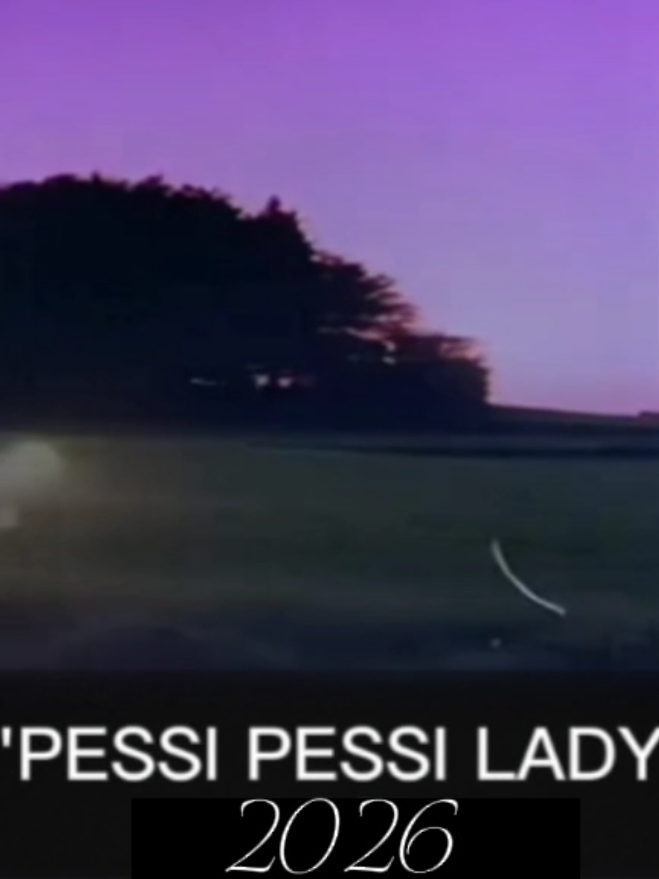 PESSI PESSI LADY#CapCut #pessipessilady #pessiandifatino #thaituchile #congchufifa #chile2016 #pessidoggy💩 