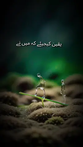 #زندگی_میری🥀🐥 #حساسیت#حساس_دل#foryoupage #tiktokviralvideo 