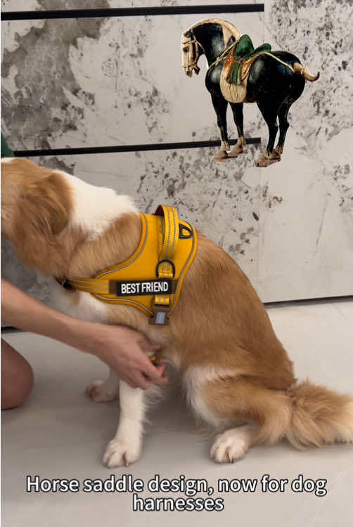 Horse saddle design,now for dog harness#pet #dog #dogharness #dogwalking #fyp 