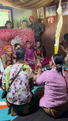 Adat orang ketaoang #fyp #dayakkalimantan #dayakviral 