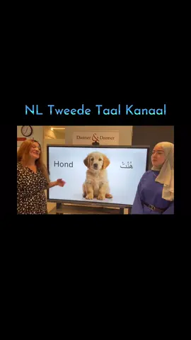 #nederlandsleren #nt2 #الأبجدية #nederlandsals2etaal #alfabet #ABC #spellen #alfabet #ABC #هولندا🇳🇱 #لغة #عربية #هولندا 