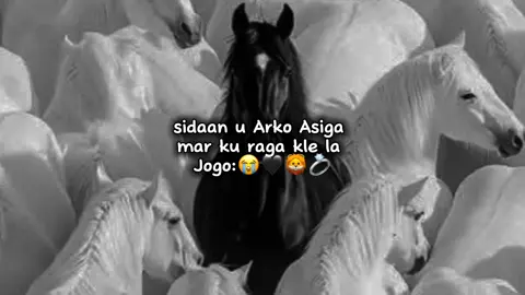 #oscars #jawi_bila🌊❤️🌴#CapCut  #ber_lula🖤🌴🇸🇧 #dagannn🦋🤍 