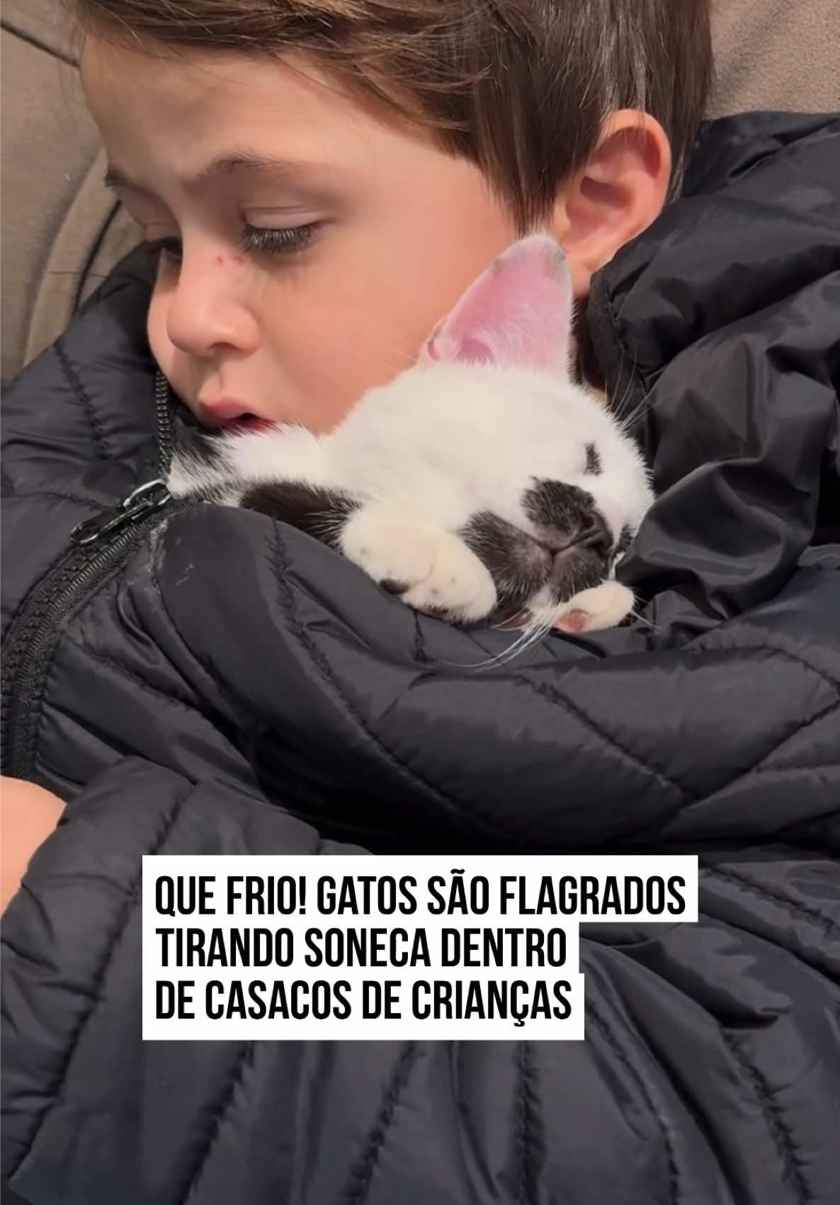 🐈‍⬛🐈 O ritual nas noites frias na casa de Tatiana Vailatti é sempre o mesmo. Quando a temperatura cai, os filhos da criadora de conteúdo logo pegam seus cobertores para aproveitar o clima enquanto assistem #desenhos no sofá. No entanto, algo chamou a atenção de Tatiana: ao se aproximar dos filhos, ela logo percebeu que os gatinhos da família também estavam desfrutando do momento. Dentro dos casacos, os #pets se aninham e dormem em profundo relaxamento. A cena repercutiu nas #redessociais e os internautas se derreteram, destacando o carinho das crianças e o tranquilidade dos gatinhos. Fofura, né? #TikTokNotícias 📹 @Tatiana Vailatti | @Myhoodbr 